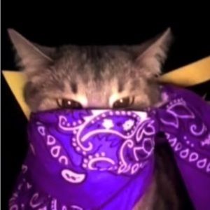 Meet your Posher, Bryan